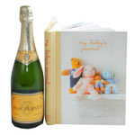 Champagne and Baby Diary