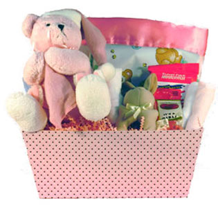 gift basket for newborn baby girl