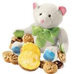 Baby's Buddy Bear with Pink Cookies