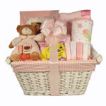 New Baby Girl Arrival Gift Basket